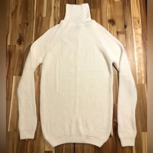 Zara Turtle Neck dress